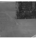 Solsikken 1960
