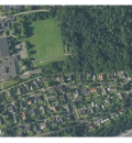 Solsikken s2015